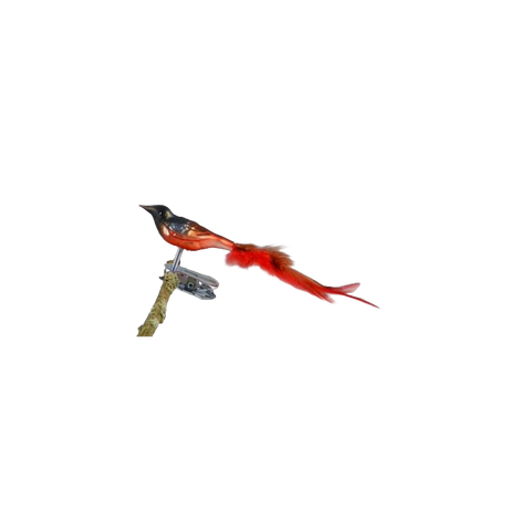 Fugl i glas med klips Rødstjert