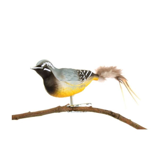 Fugl i glas med klips Bjergvipstjert set fra den anden side af