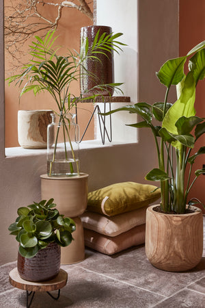 Hyggehjørne med planter i krukker og puder