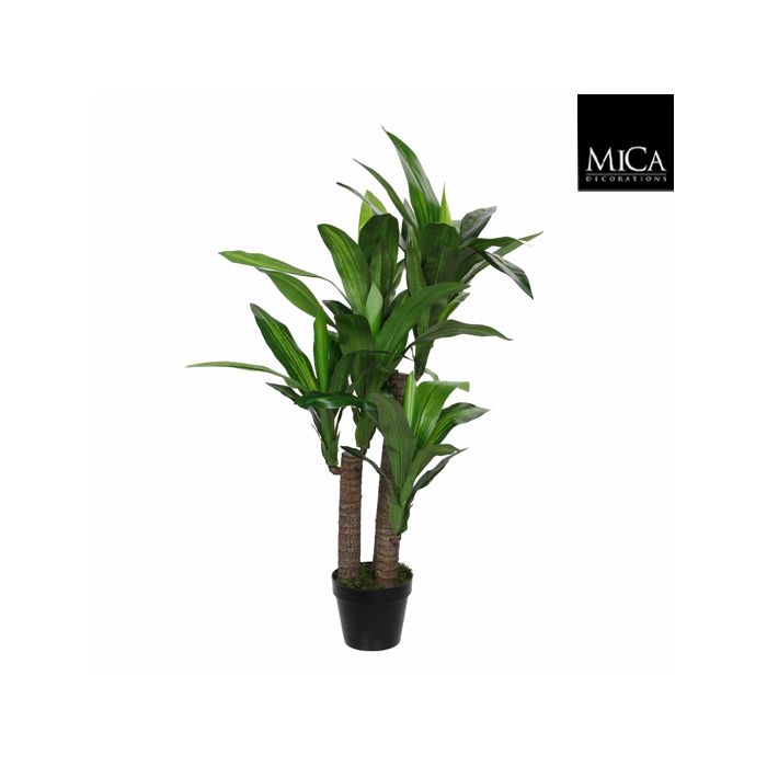 Dracaena palme 110 cm høj