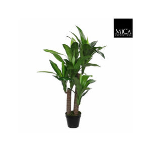 Dracaena palme 110 cm høj