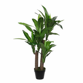 Dracaena palme 110 cm høj