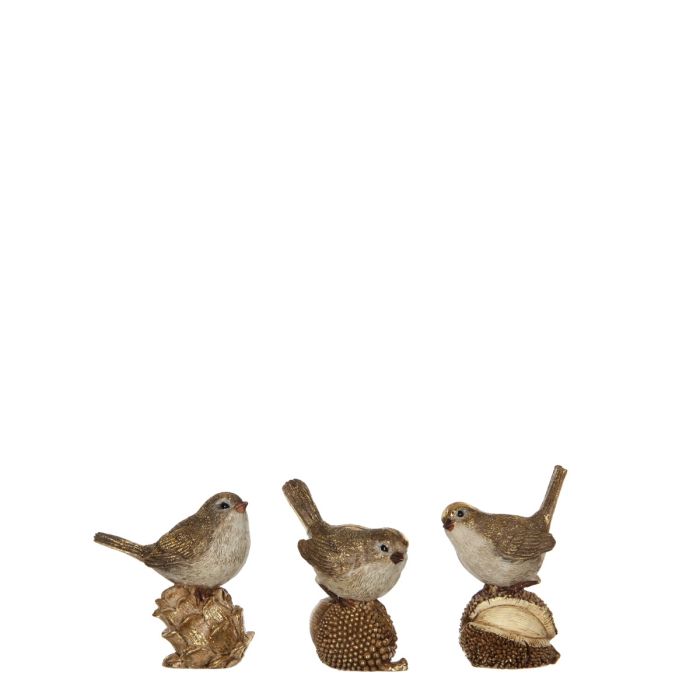 Fugle med skovens bær