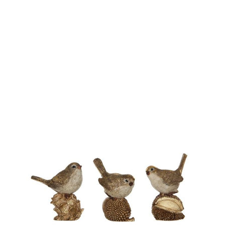 Fugle med skovens bær