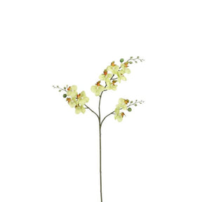 Phalaenopsis orkidéstilk gulgrøn kunstig 75 cm høj