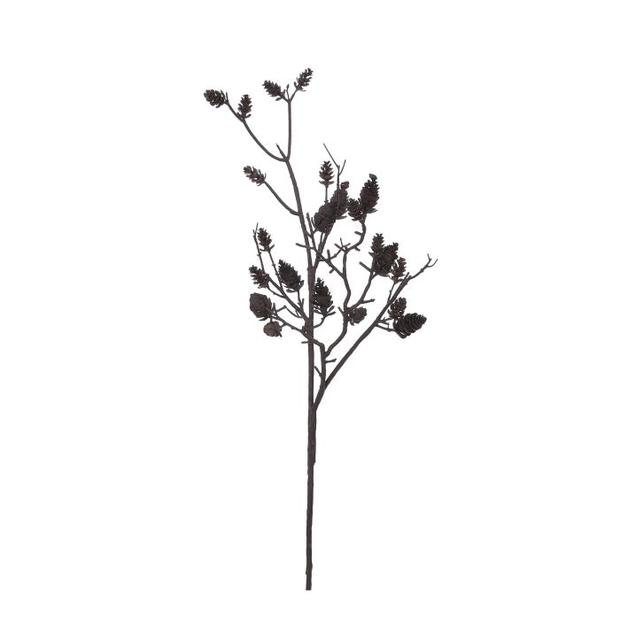 Gren brun med kogler