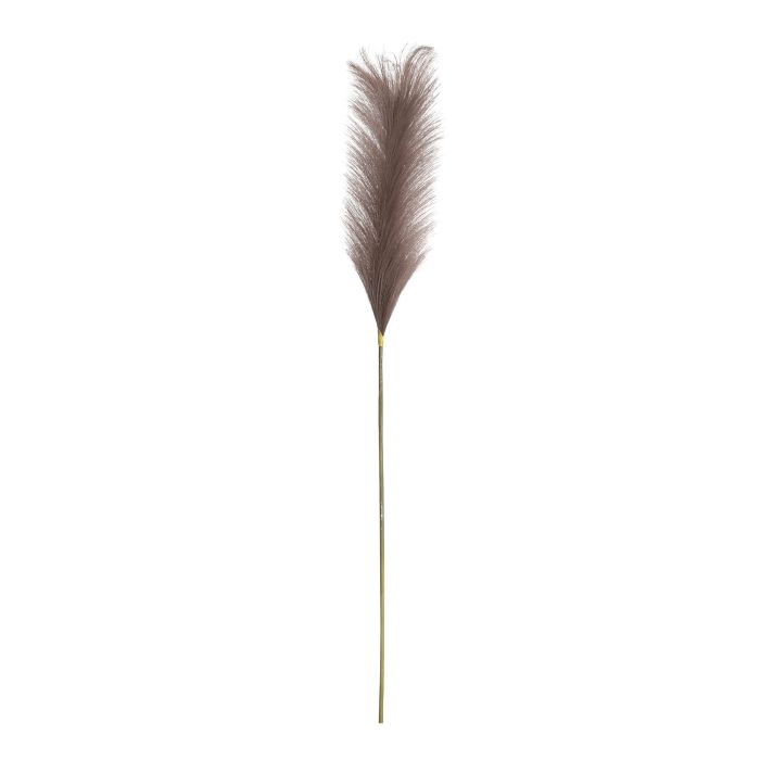 Plume græs taupe