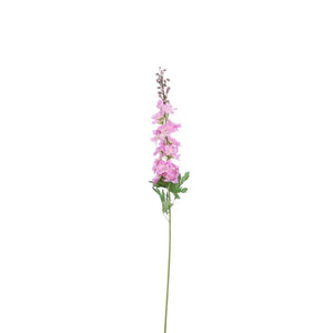Ridderspore lilla