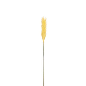Plume græs mørkegul