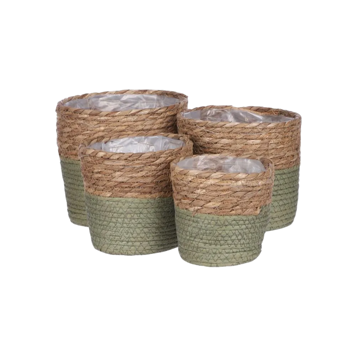 Rachel kurvesæt med 4 kurve med grønne bunde