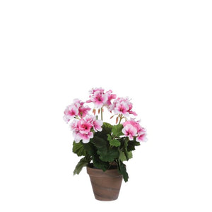 Pelargonie lyserød 33 cm høj