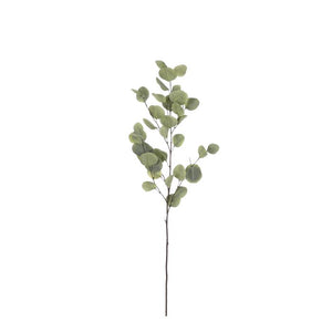 Eucalyptus grøn