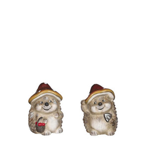 Pindsvin med svampehat