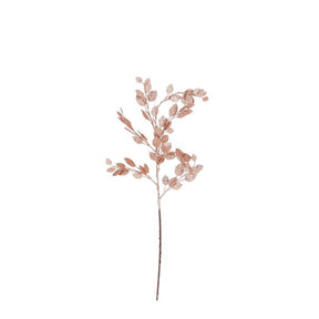 Monye plant gren fersken 