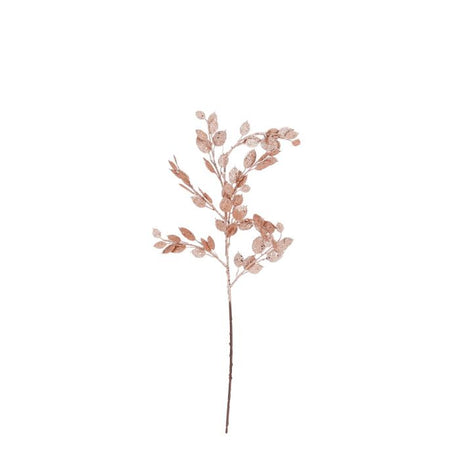 Money plant gren fersken 