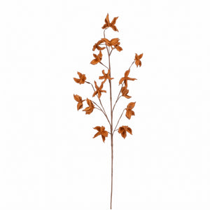 Efterårsgren med farvede blade
