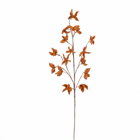 Efterårsgren med farvede blade