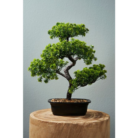 Bonsai træ 38 cm højt