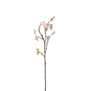 Kirsebærgren 61 cm lang
