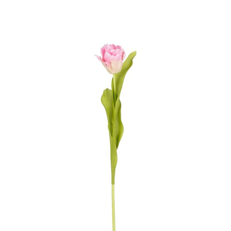 Tulipan 50 cm lang lyserød