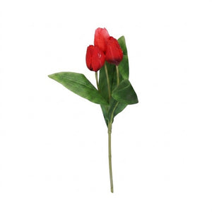 Tulipanstilk med 3 blomster