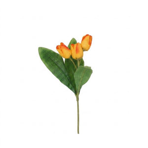 Tulipanstilk med 3 blomster
