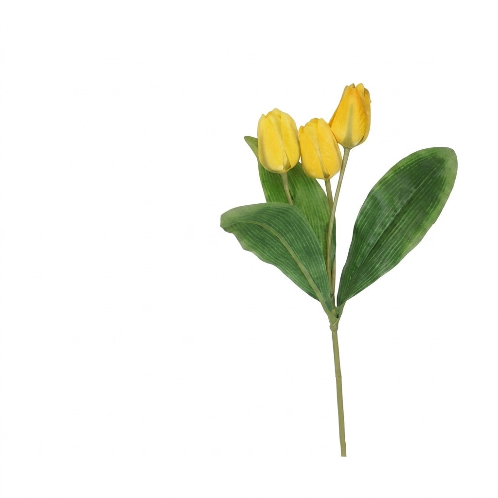 Tulipanstilk med 3 blomster