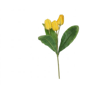 Tulipanstilk med 3 blomster