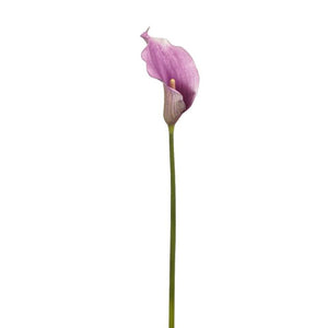 Calla blomsterstilk mauve