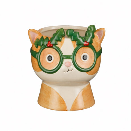 Sjov urtepotte kat