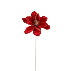 Magnolia stilk rød