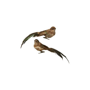 Fugl på klips brune farver