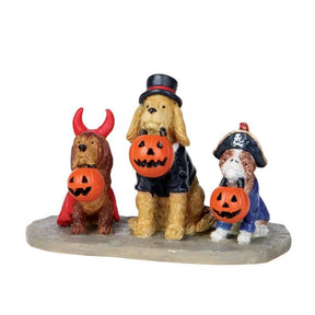 Trick Or Dog Treats