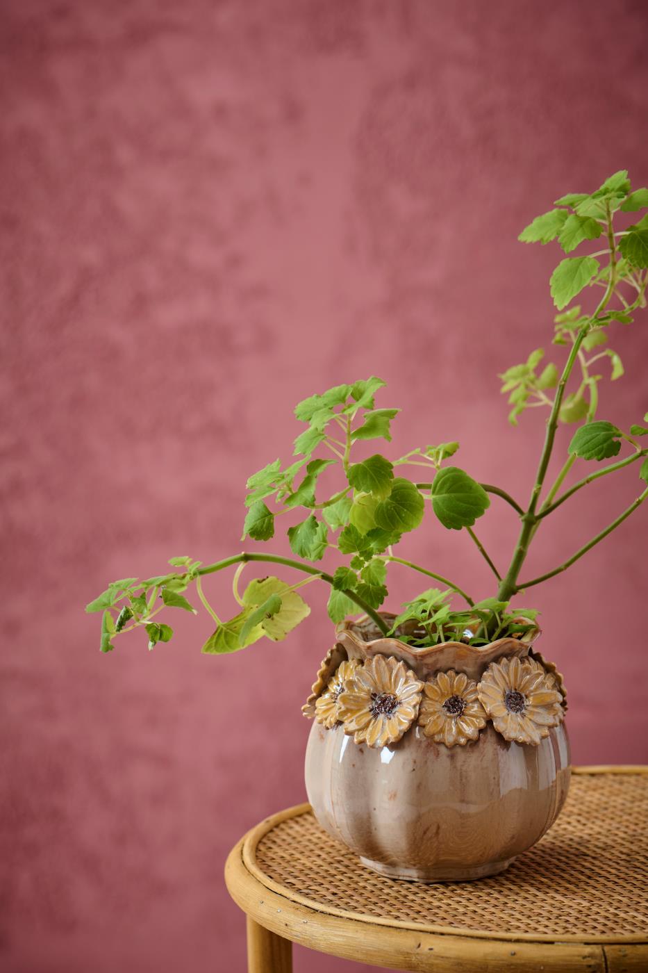 Vase i glaseret keramik med solsikker fra Ib Laursen med en grøn plante i.