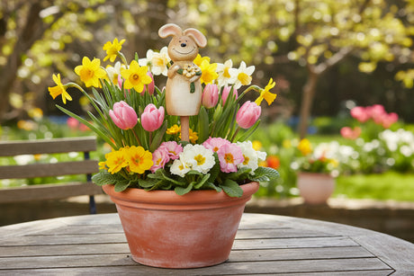 Hare på pind pynter mellem påskeblomster i en krukke