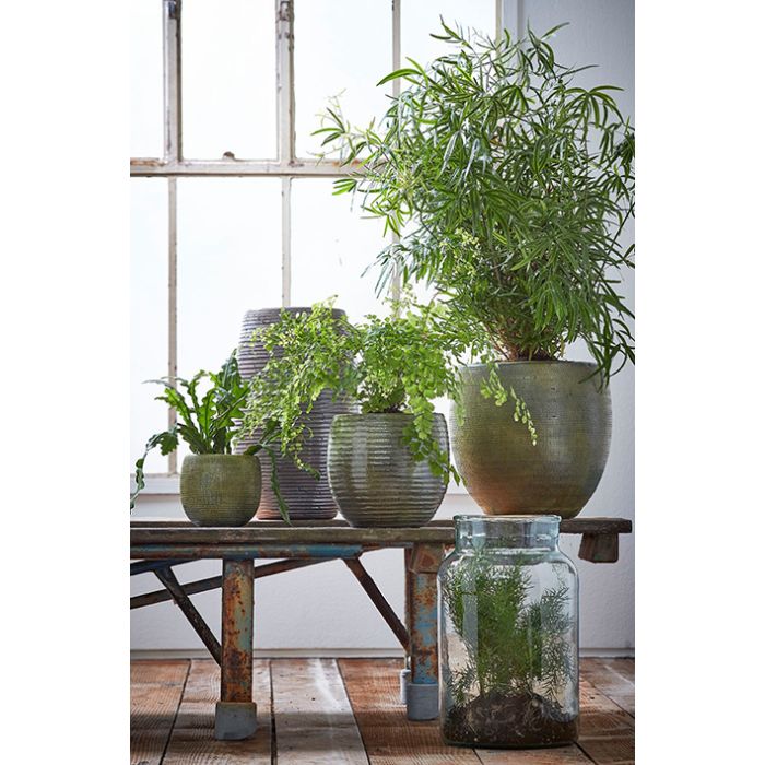 Vienne dekorationsglas 40 cm høj 23 cm i dia