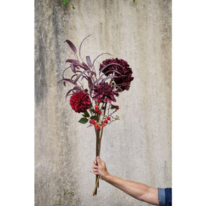 Hortensia blomsterstilk bordeaux