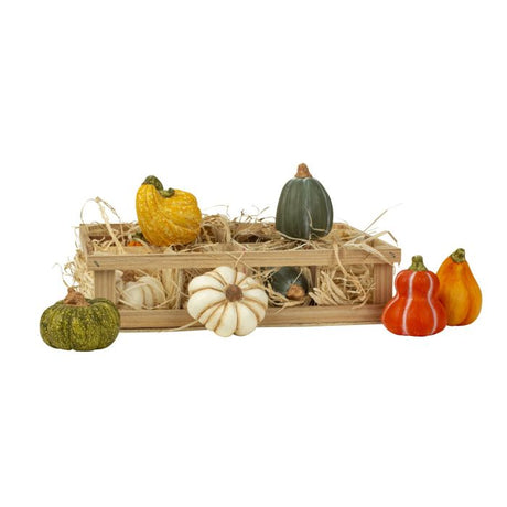 Pyntegræskar i æske med 12 stk