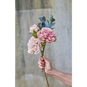 Eukalyptus stilk 30 cm