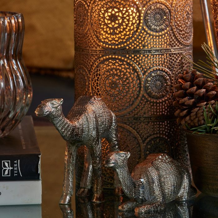 Speedtsberg stående kamel