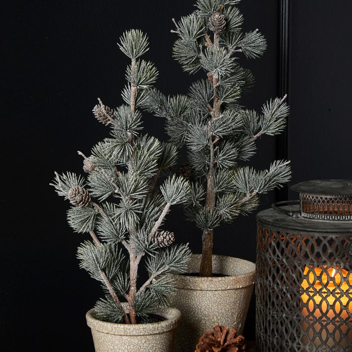 Lærketræ med sne og kogler 36 cm højt