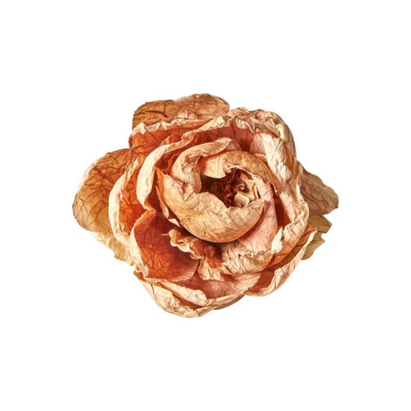 Blomsterhoved med klips pæon dusty