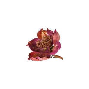 Blomsterhoved med klips magnolia rød og guld