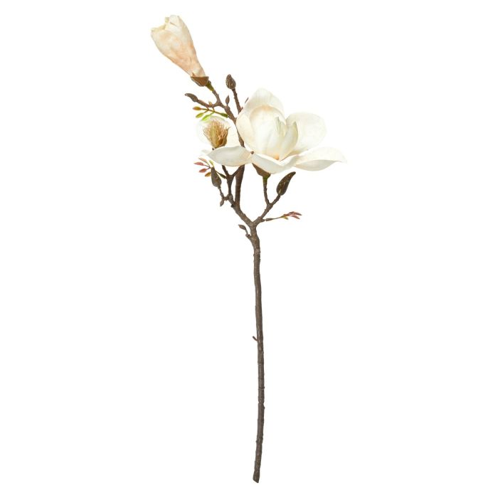 Magnolia stilk creme