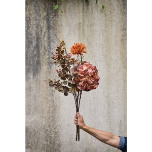 Krysantemum stilk burned orange