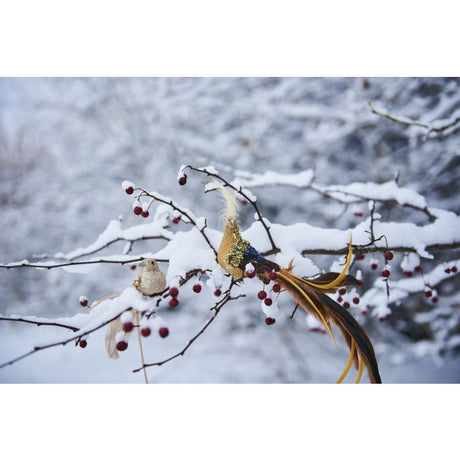 Fugl med klips guld/champagne