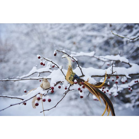 Påfugl med fjerhale på klips