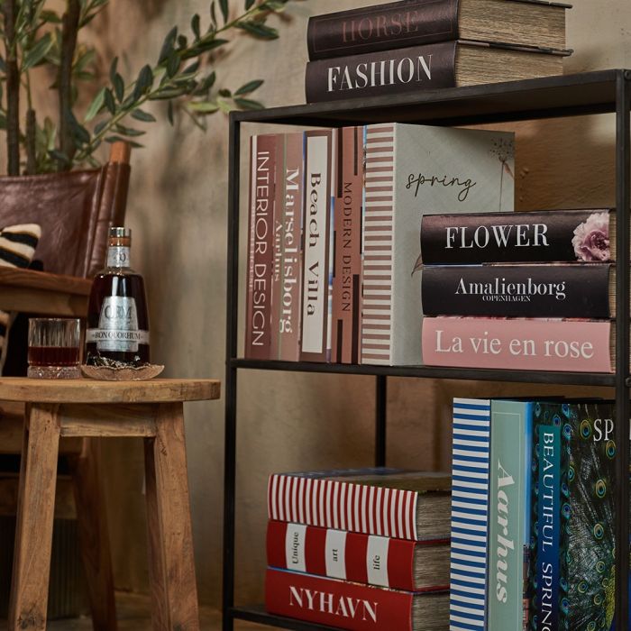 Speedstberg opbevaringsæsker udformet som bøger på reol