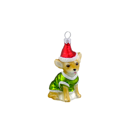 Brun Chihuahua med nissehue