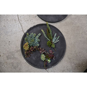 Sukkulent 4 stilke 15 cm